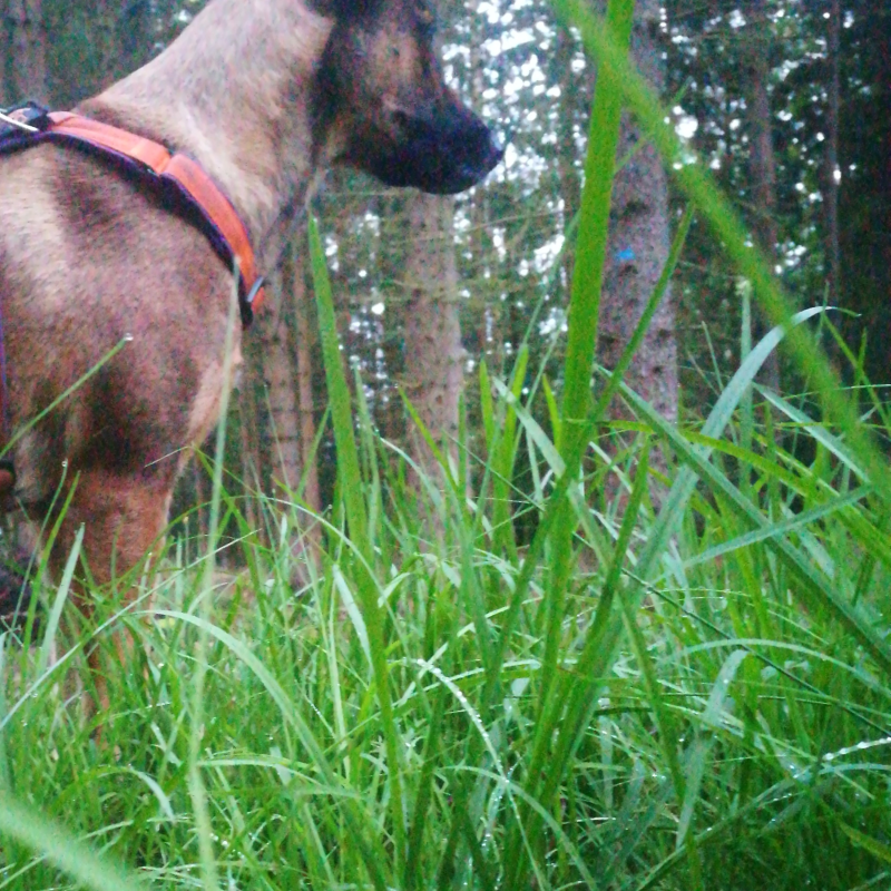 Obrázek epizody 01:: Setřes to, vyraž a vyprávěj. Je to jako hodně ró.