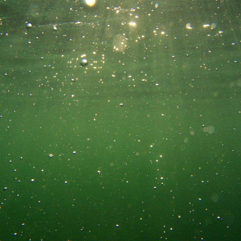 Obrázek epizody Red Herring