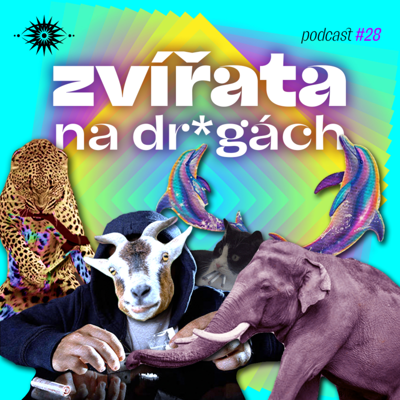 Obrázek epizody Jak fetuji zvířata?