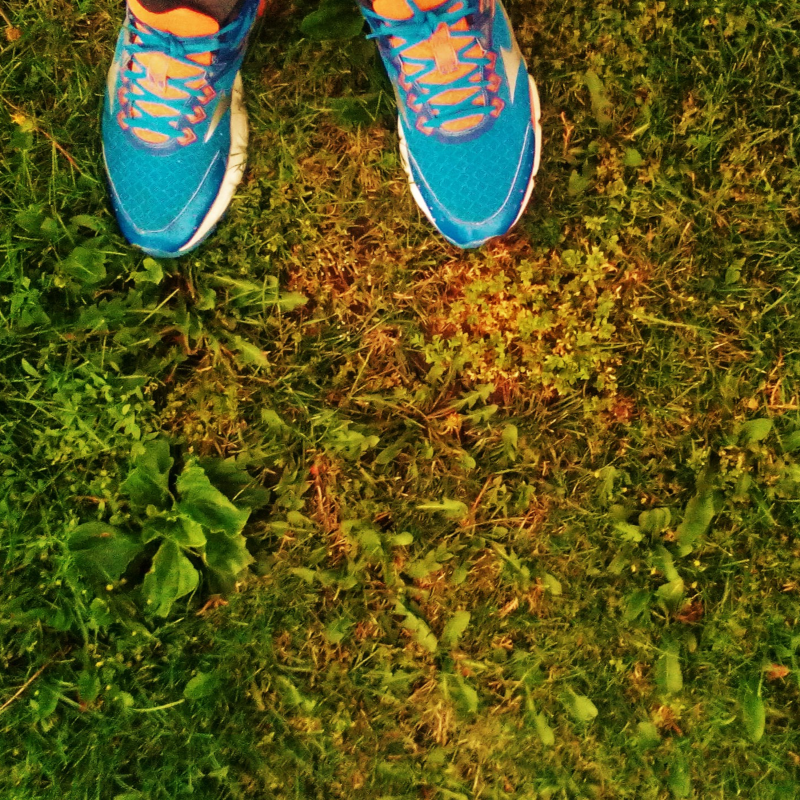 Obrázek epizody Radost před námi - o lidské motivaci