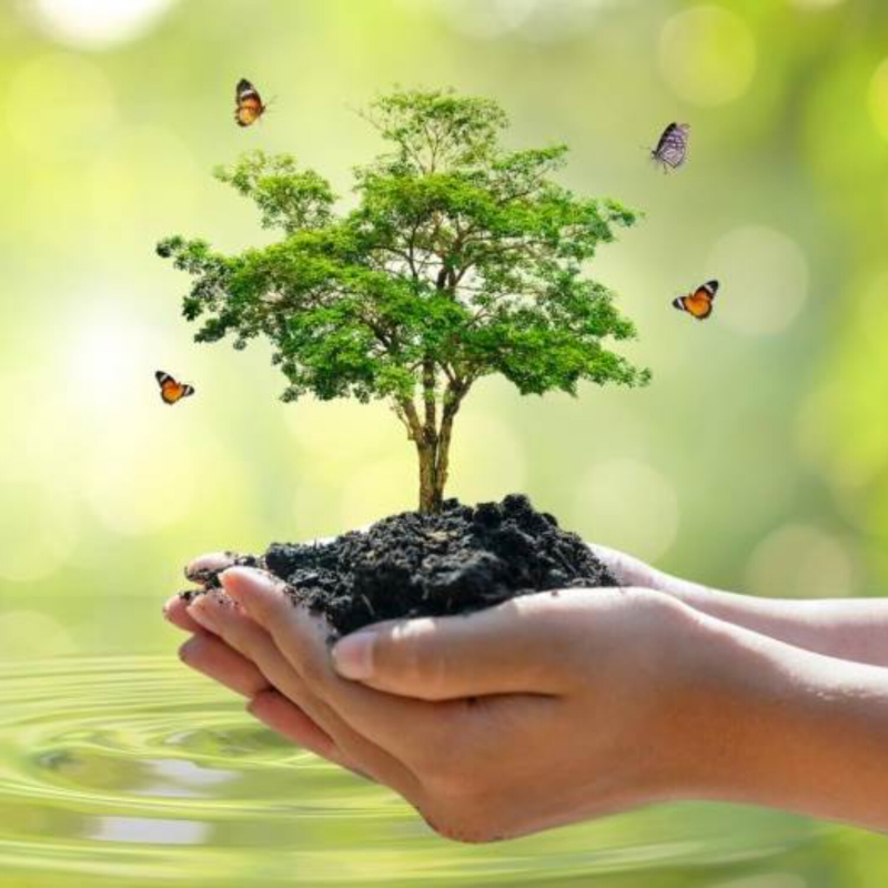 Obrázek epizody Jaký smysl má život, když jednou skončí?