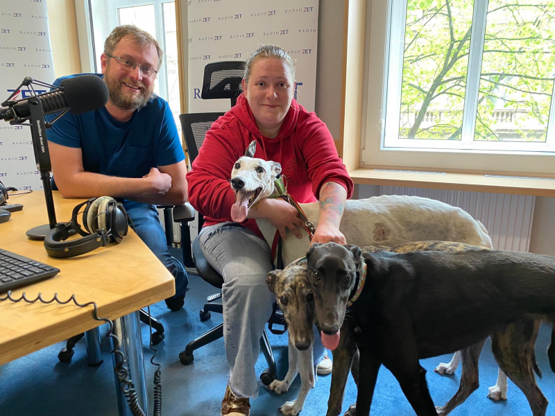 Obrázek epizody Chrtům hrozí po skončení dostihové kariéry smrt, naše organizace se je snaží zachránit, říká Hana Kellermannová z Chrtů v nouzi