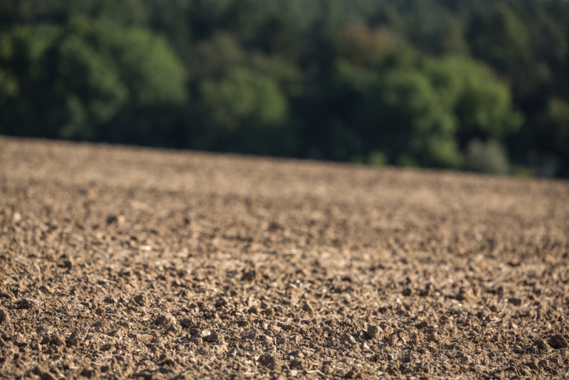 Obrázek epizody Luděk Sobota chce být ministrem kultury