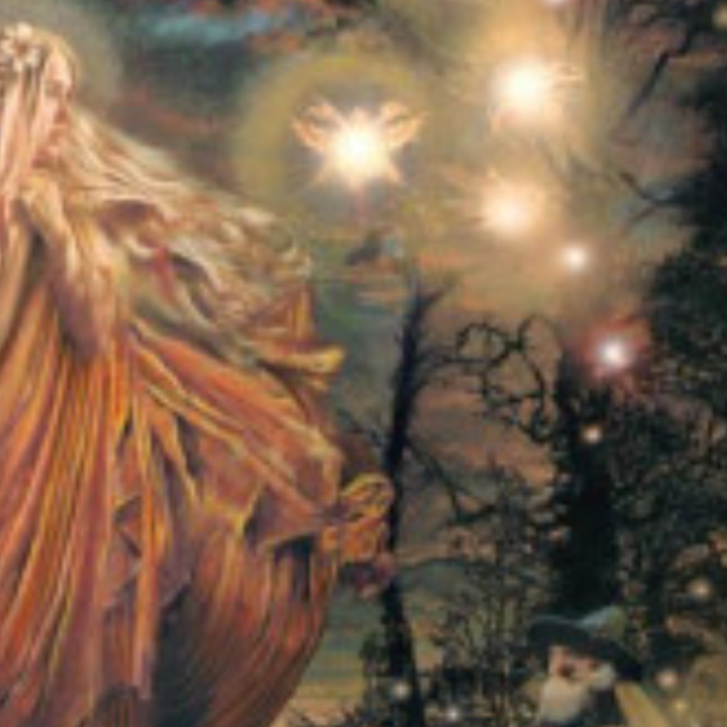 Obrázek epizody Vzkazy přírody 1 - Vzkazy přírody 1 - Bytostní, ti na určitý cíl zaměření