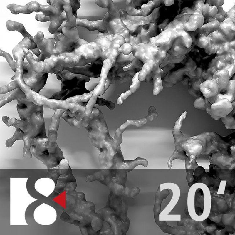 Obrázek epizody Jak se teologie radikalizovala | Ve 20 minutách