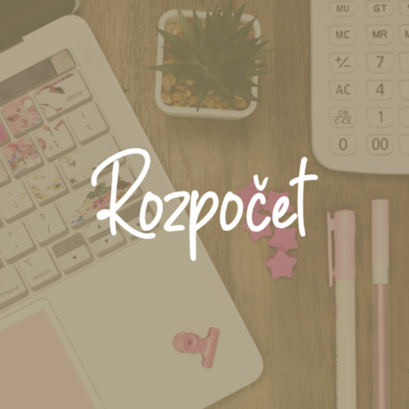 Obrázek epizody #1 JAK SESTAVIT SVATEBNÍ ROZPOČET: JAK UŠETŘIT A NA ČEM NAOPAK NEŠETŘIT