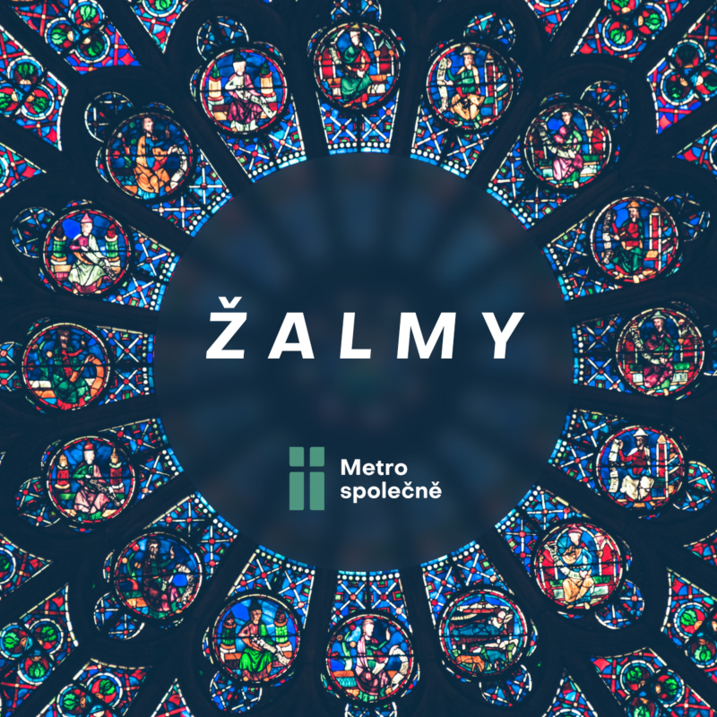 Obrázek epizody 2022/02/06 Úzkosti a žalmy - Žalmy (3 ze 4)