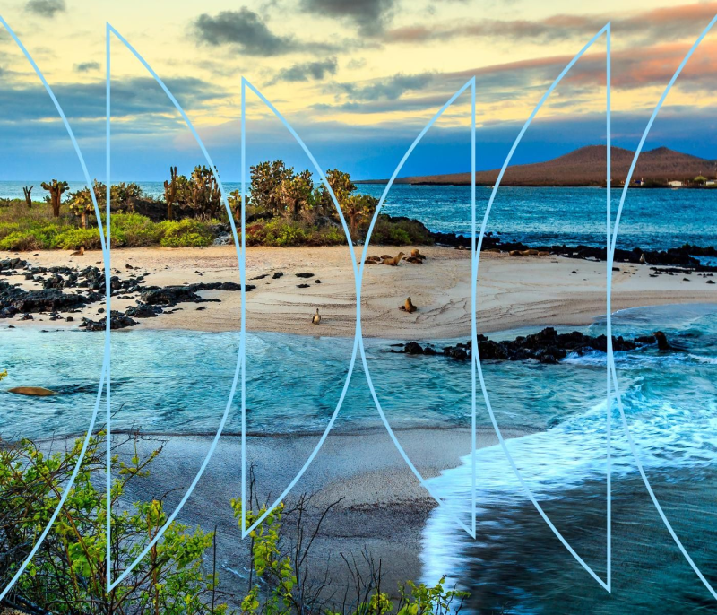 Obrázek epizody Galápagos