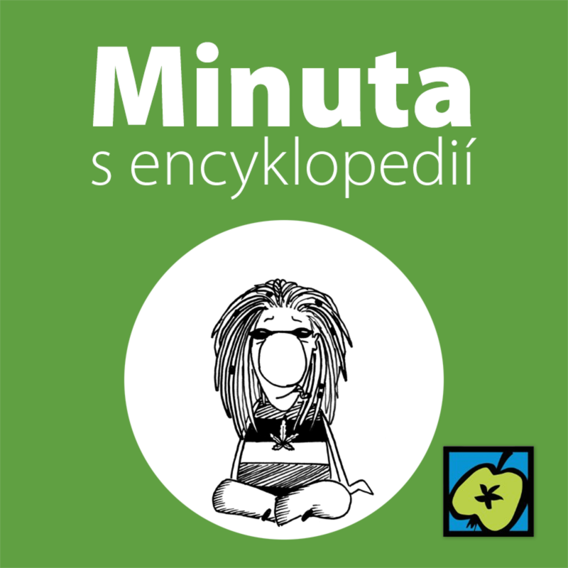 Obrázek epizody Dredy