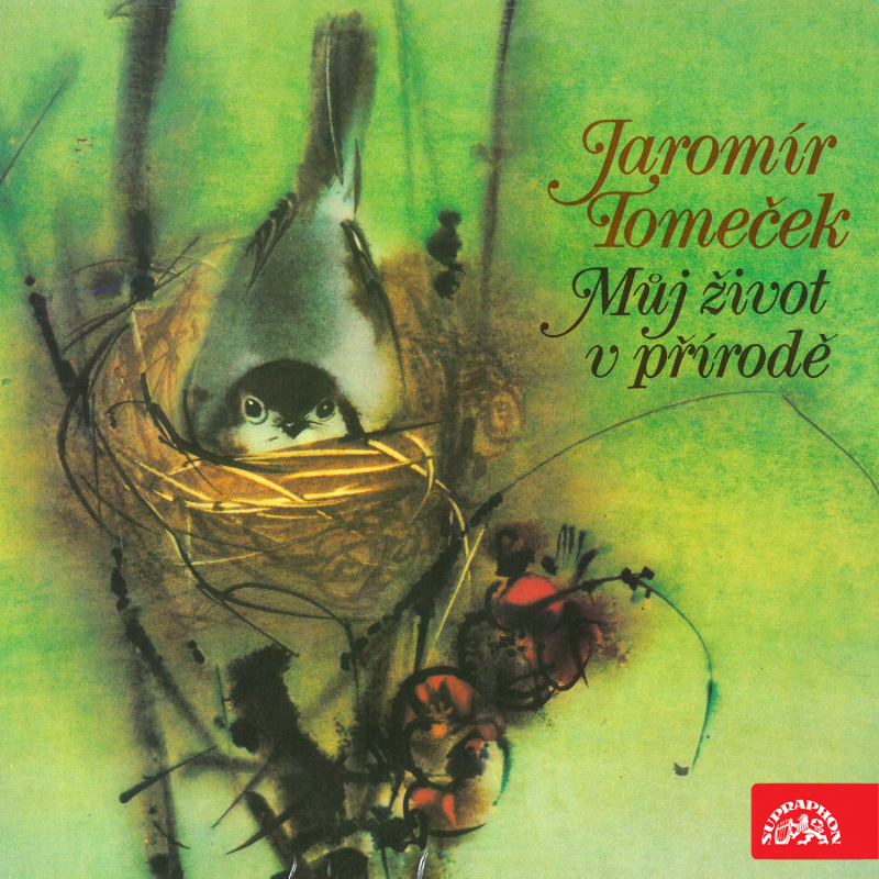 Obrázek epizody 1. část