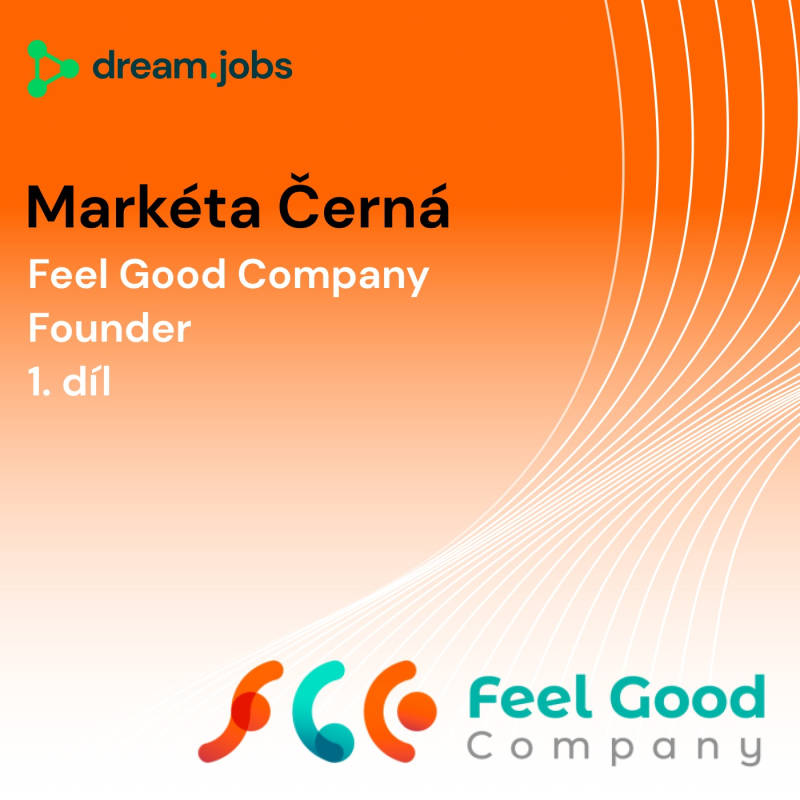 Obrázek epizody #53 - Možná nehledáte řešení problémů… ale viníky