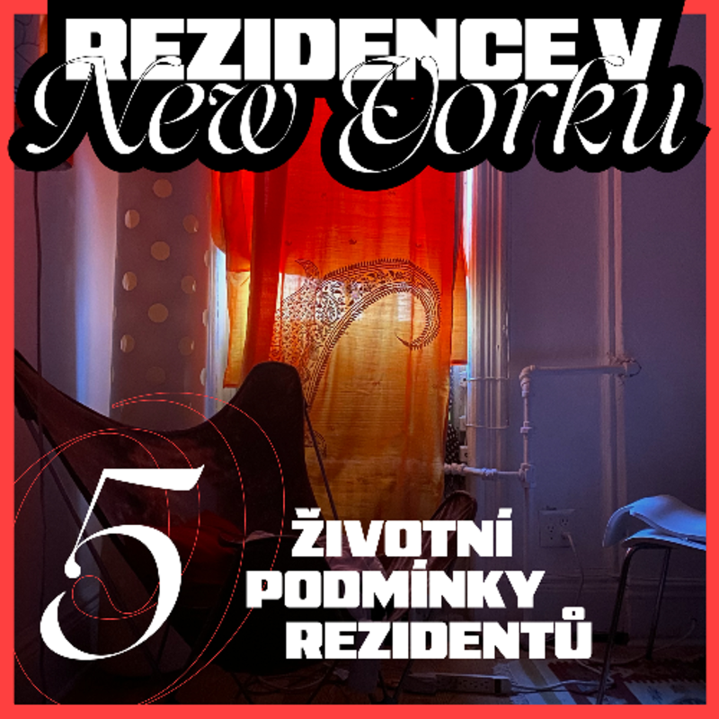 Obrázek epizody Rezidence v New Yorku 5 — Životní podmínky rezidentů