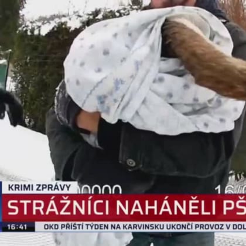 Obrázek epizody Hon na pštrosa