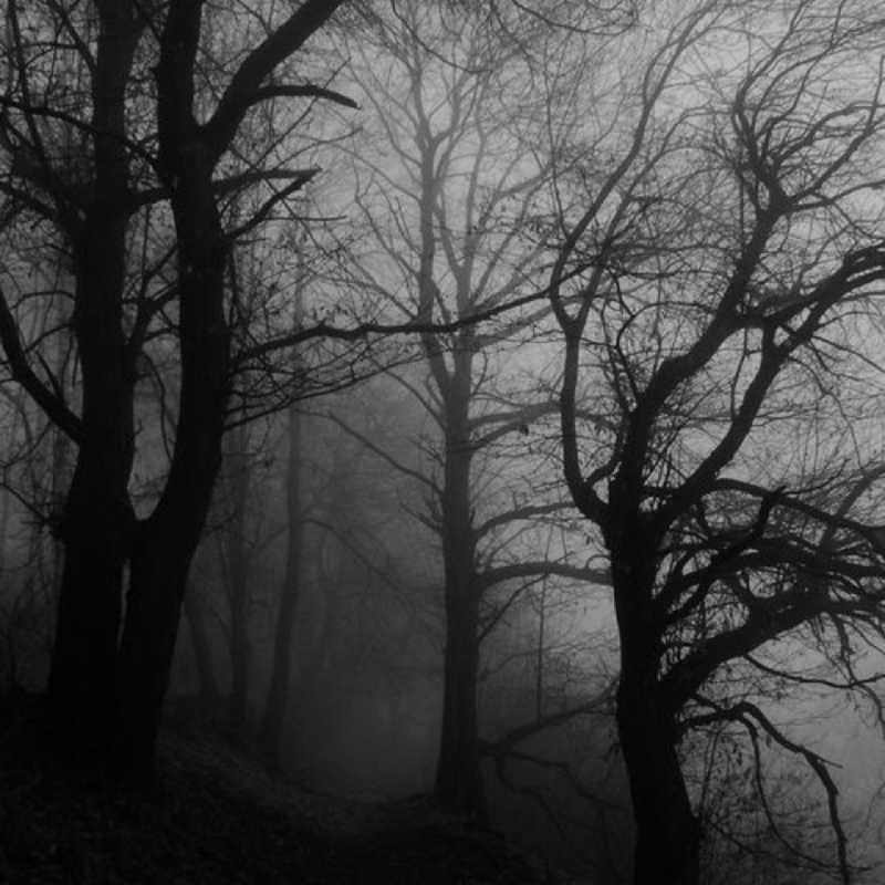 Obrázek epizody Paranormaltask