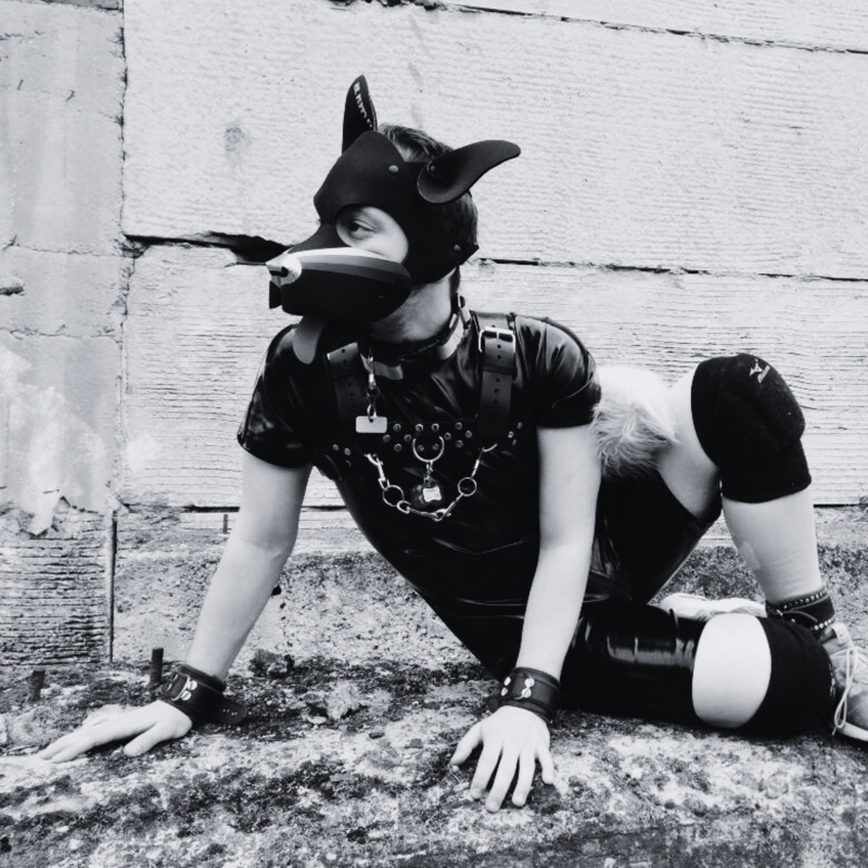 Obrázek epizody Puppy play: Mýty versus realita - Ritchi ■ Epizoda 16  ■  GAY GUYS PODCAST