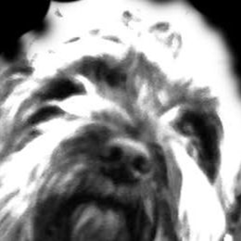 Obrázek epizody Greetings to heaven (Kjtn02)