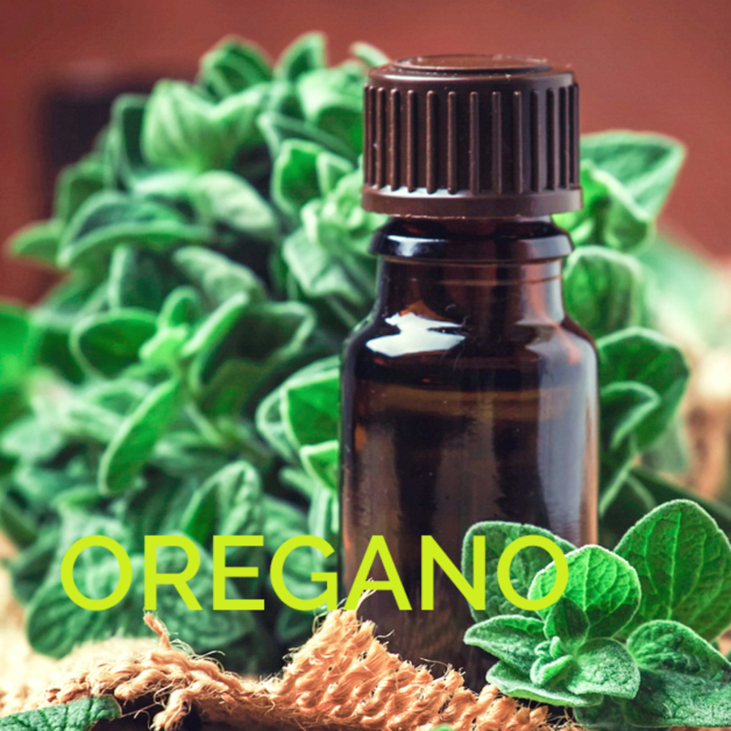 Obrázek epizody Přírodní Ochránce: Síla Oreganového Oleje🛡️🌿