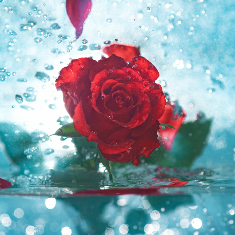 Obrázek epizody RB - Otevírání studánek speciál - 10 - O rytířství - 2019-03-06