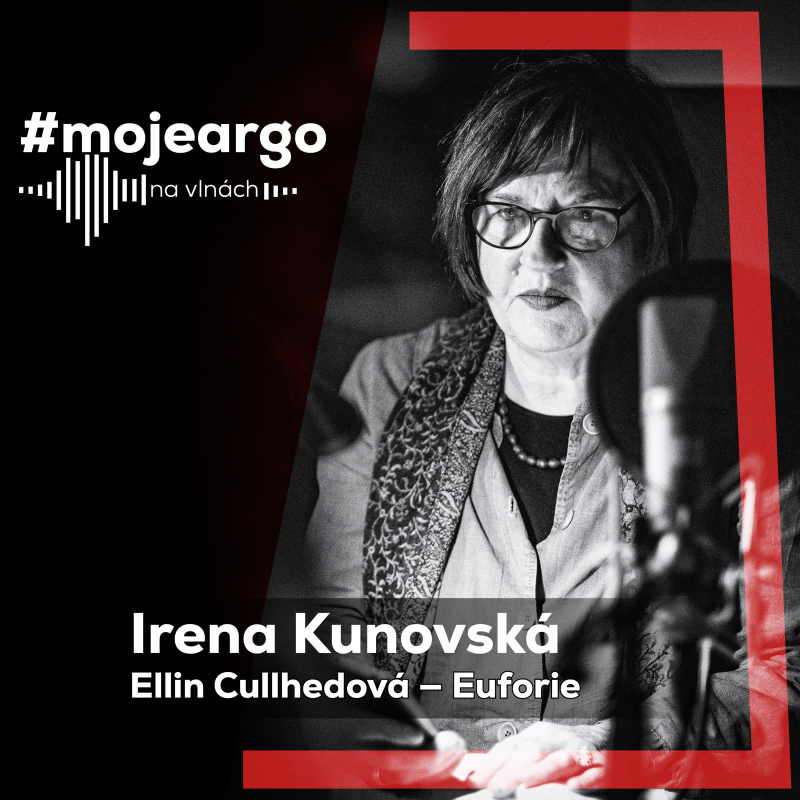 Obrázek epizody Euforie je román rozporů. Elin Cullhedová mě svou stylistickou vytříbeností naprosto přesvědčila