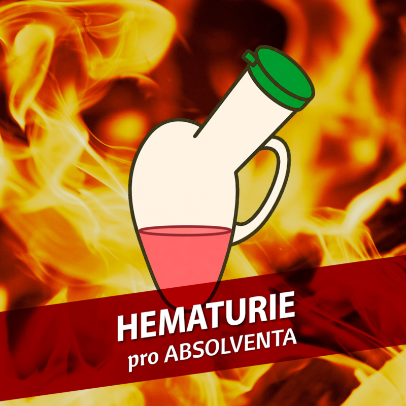 Obrázek epizody Hematurie pro absolventa