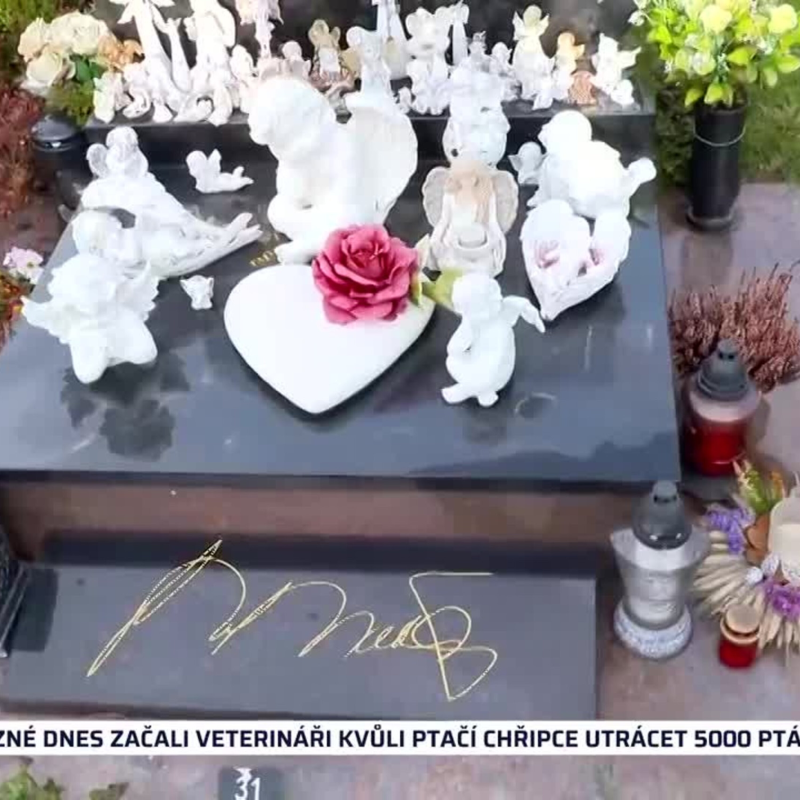 Obrázek epizody SHOWTIME 2.11.2021