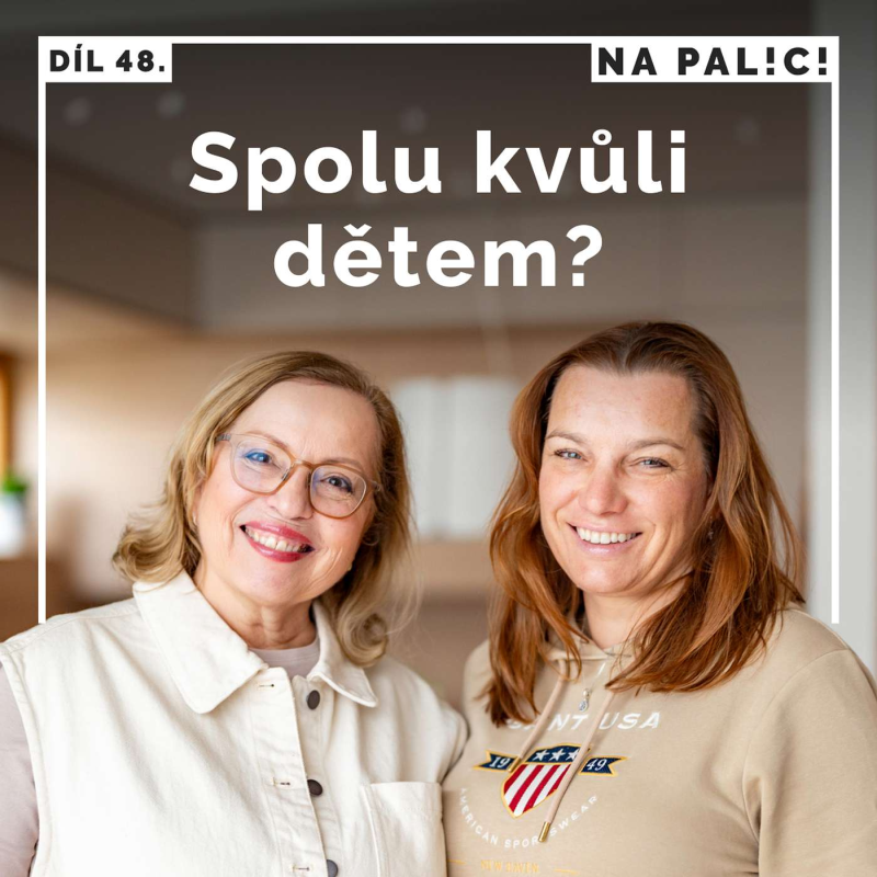 Obrázek epizody 48. díl - Spolu kvůli dětem?