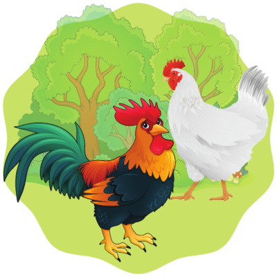 Obrázek epizody O slepičce a kohoutku