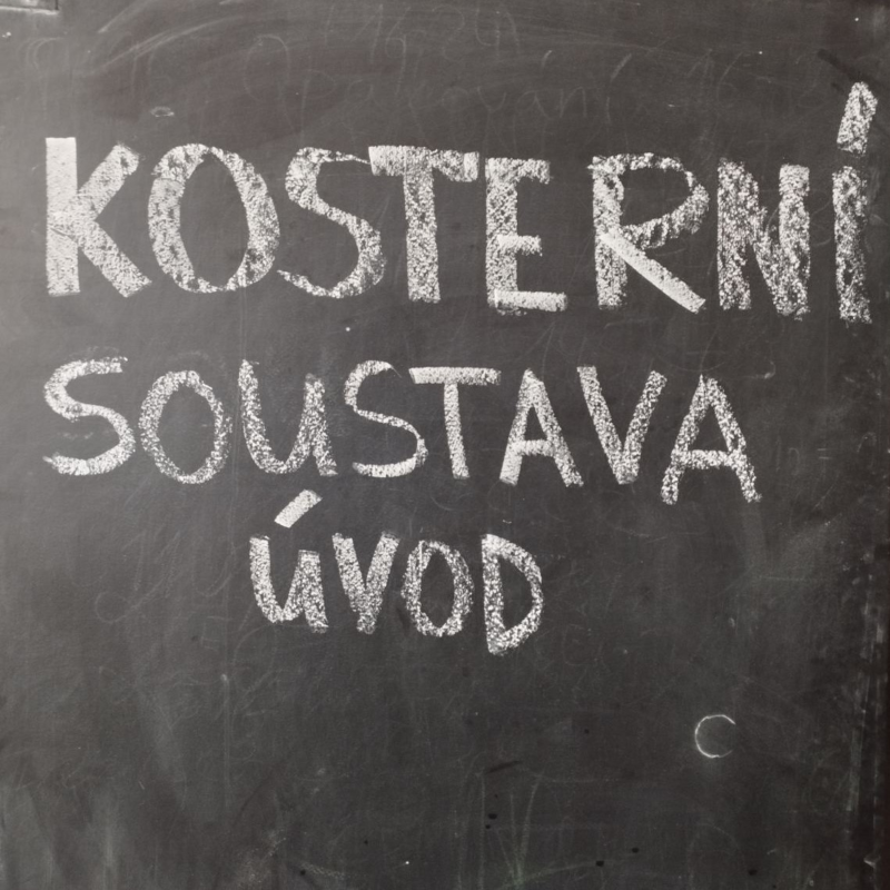 Obrázek epizody Opěrná soustava – nuda až do morku kostí?