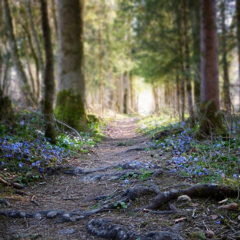 Obrázek epizody Klopotná cesta k nalezení pokoje