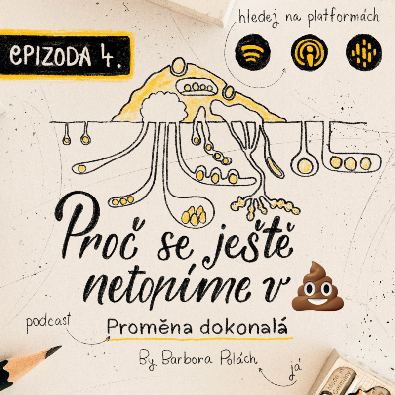 Obrázek epizody #4 Proč se ještě netopíme v 💩
