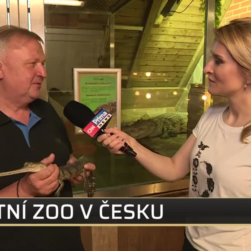 Obrázek epizody SHOWTIME 2.7.2020