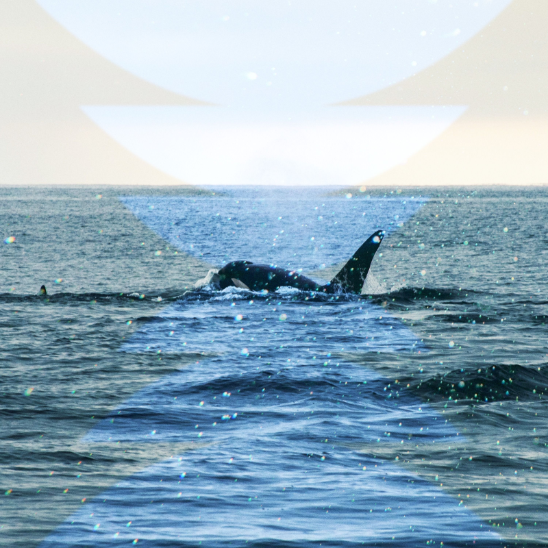 Obrázek epizody Mystery Bay