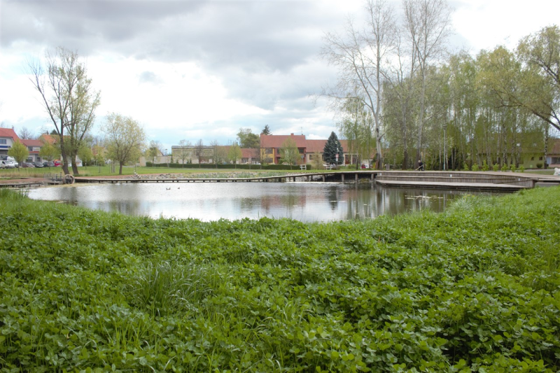 Obrázek epizody Na Bahně: náves, která budí pozornost