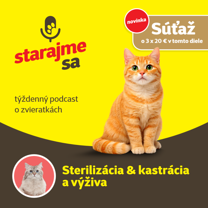 Obrázek epizody Mačky: Sterilizácia & kastrácia a výživa