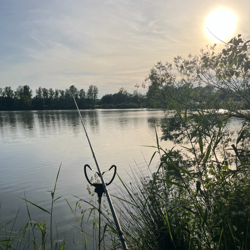 Obrázek epizody Večerní chytání 22. díl