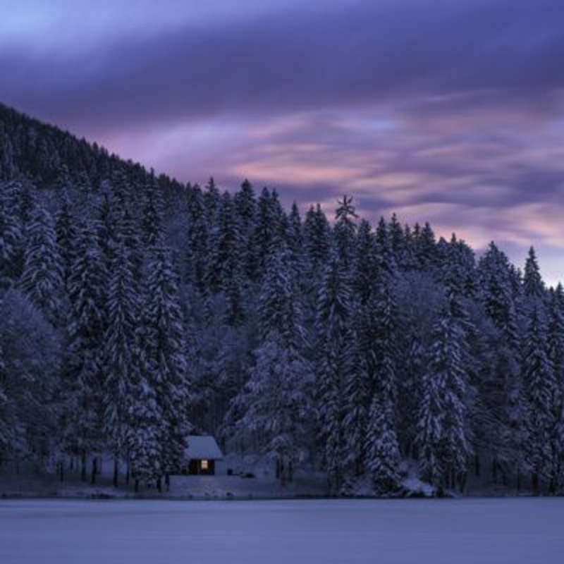 Obrázek epizody Cozy Cabin in Winter Ambience | Wind and Crackling Fire Sounds