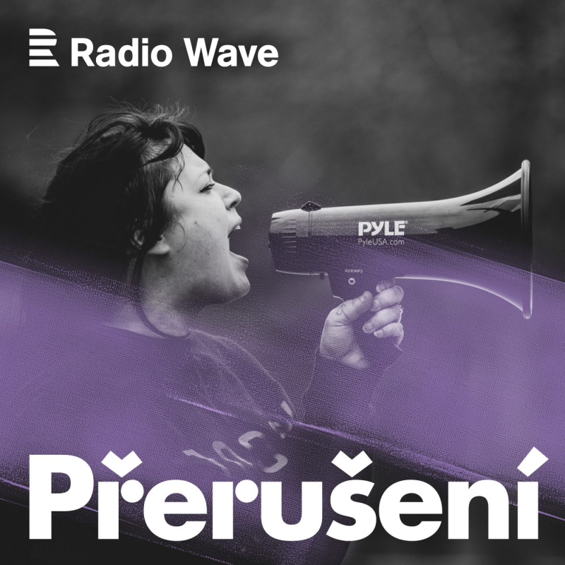 Obrázek epizody Přerušení: Interrupce mimo zákon: Co přináší zákazy a omezování práv žen?