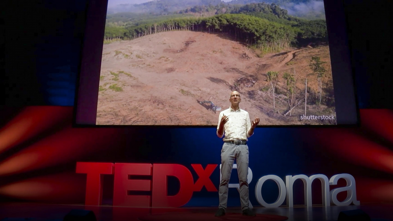 Obrázek epizody How animals, bugs and plants are evolving in cities | Menno Schilthuizen