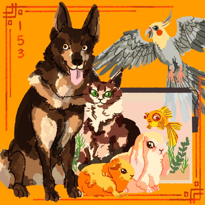 Obrázek epizody Top desítka domácích mazlíčků