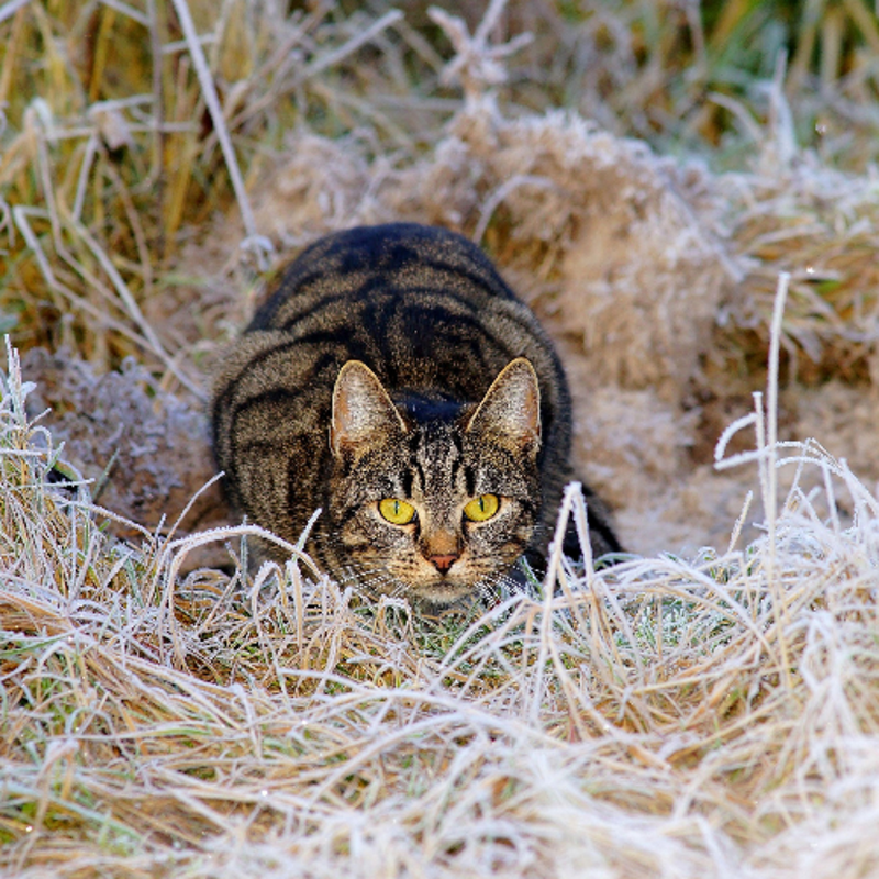 Obrázek epizody Jak dále v roce 2026, Vít Syrový, Duše Má, Neznámá (110.), 17. 12. 2025