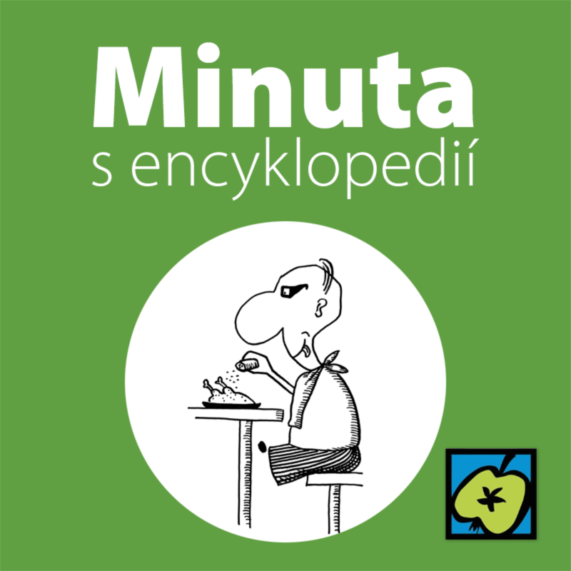 Obrázek epizody Sůl