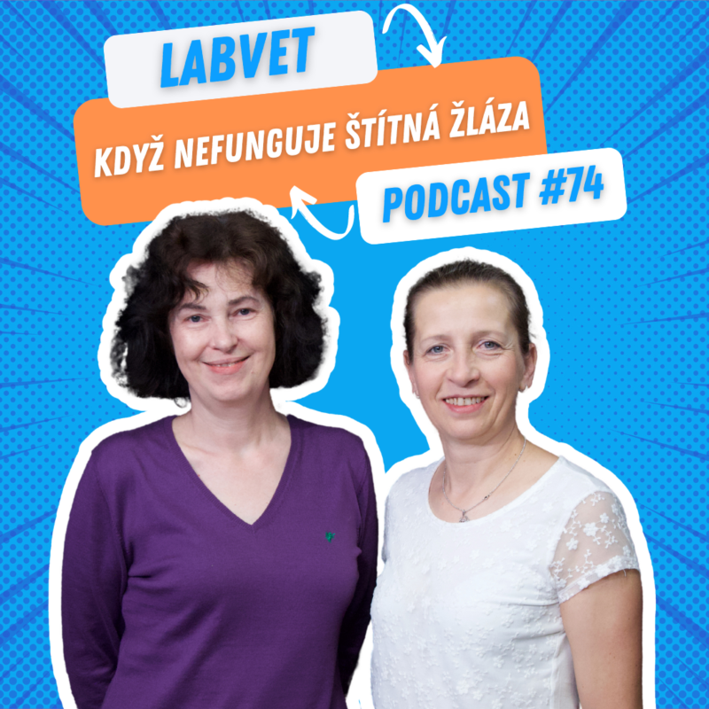 Obrázek epizody 👩⚕️Když nefunguje ŠTÍTNÁ ŽLÁZA👩⚕️| Labvet Podcast #74