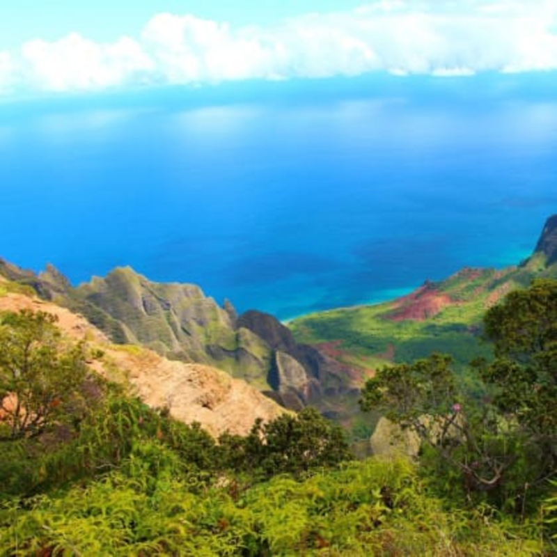 Obrázek epizody Prima SVĚT  2021 (12)