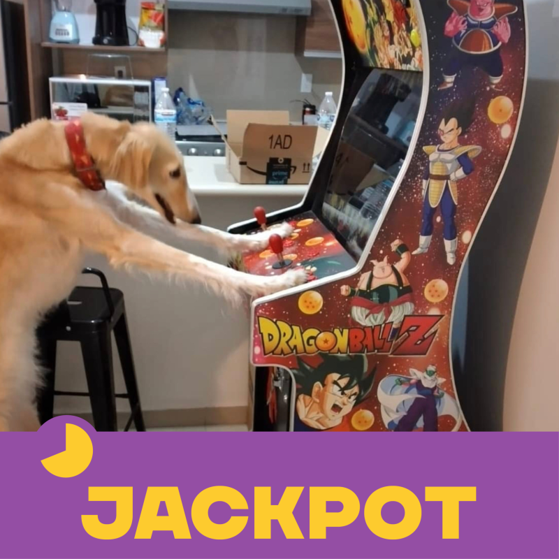Obrázek epizody JACKPOT 41