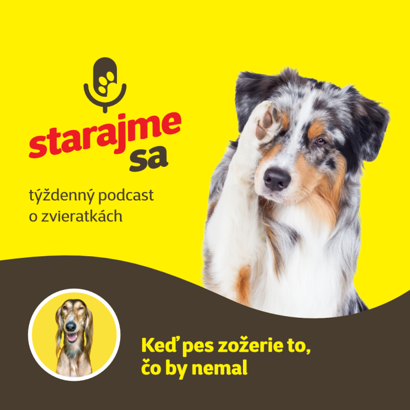 Obrázek epizody Psy: Keď pes zožerie to, čo by nemal