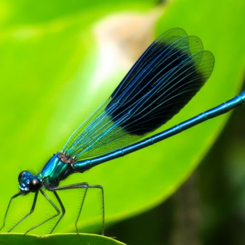 Obrázek epizody Prima Svět 2021 (7)