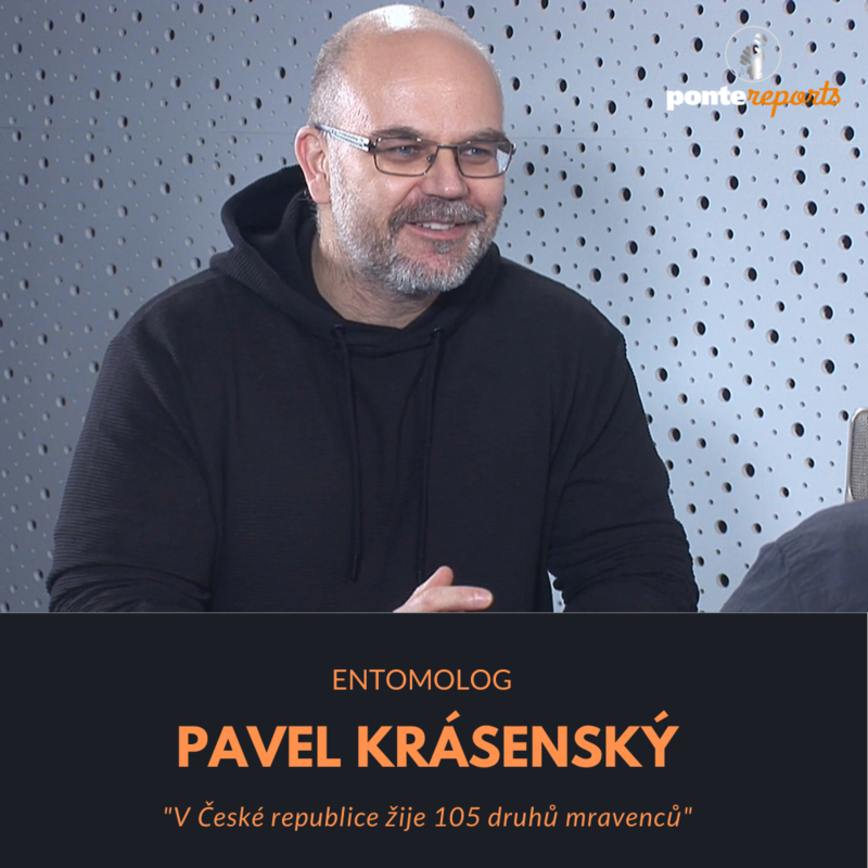 Obrázek epizody Pavel Krásenský – entomolog: V České republice žije 105 druhů mravenců