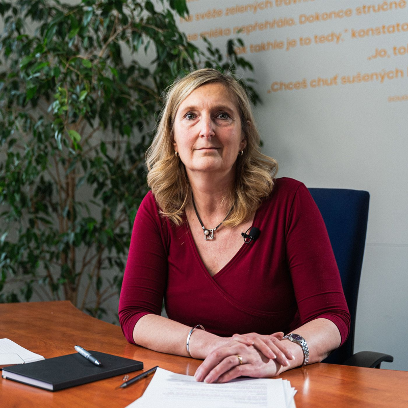 Obrázek epizody Od volně dostupné studie k osobním workshopům (STEM/MARK + Raiffeisen)