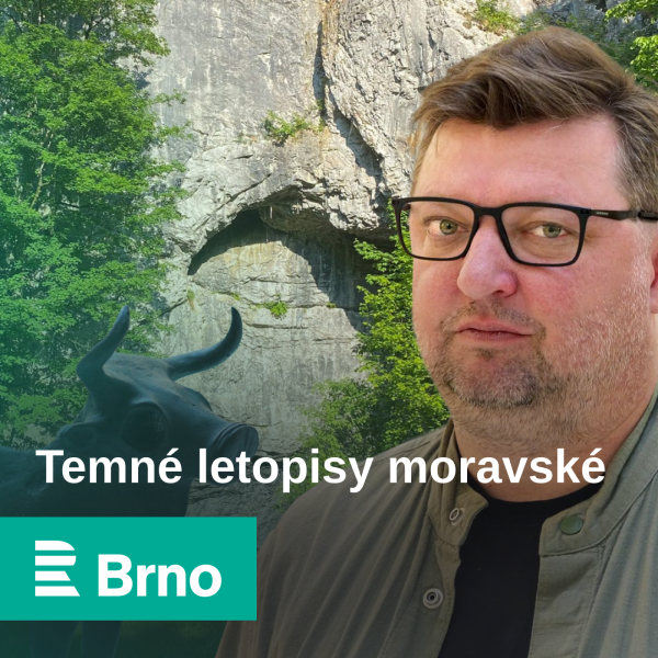 Obrázek epizody Když na Moravě hoří Sahara. U požáru v Bzenecké Doubravě v roce 2012 zasahovalo 1 500 hasičů