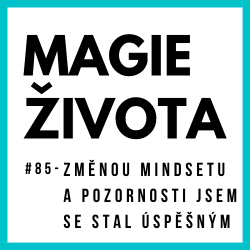 Obrázek epizody #85 - Michal Hložek - Změnou MINDSETU a POZORNOSTI jsem se stal ÚSPĚŠNÝM! | Magie Života | Mindset Leadera | Důvěra | Vedení lidí